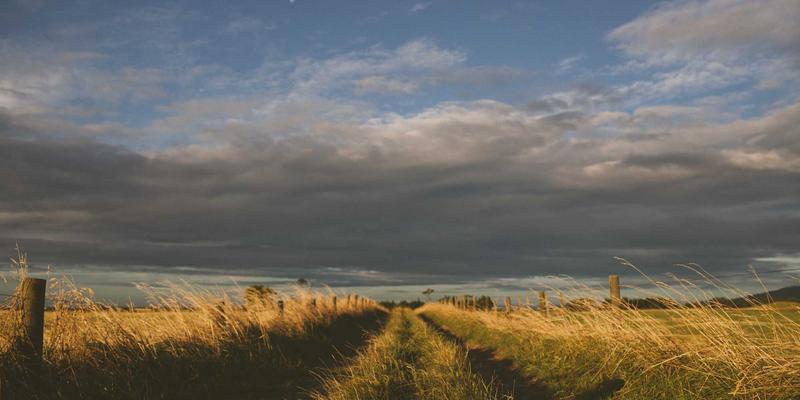 AutoGen优化指南：持续改进的方法